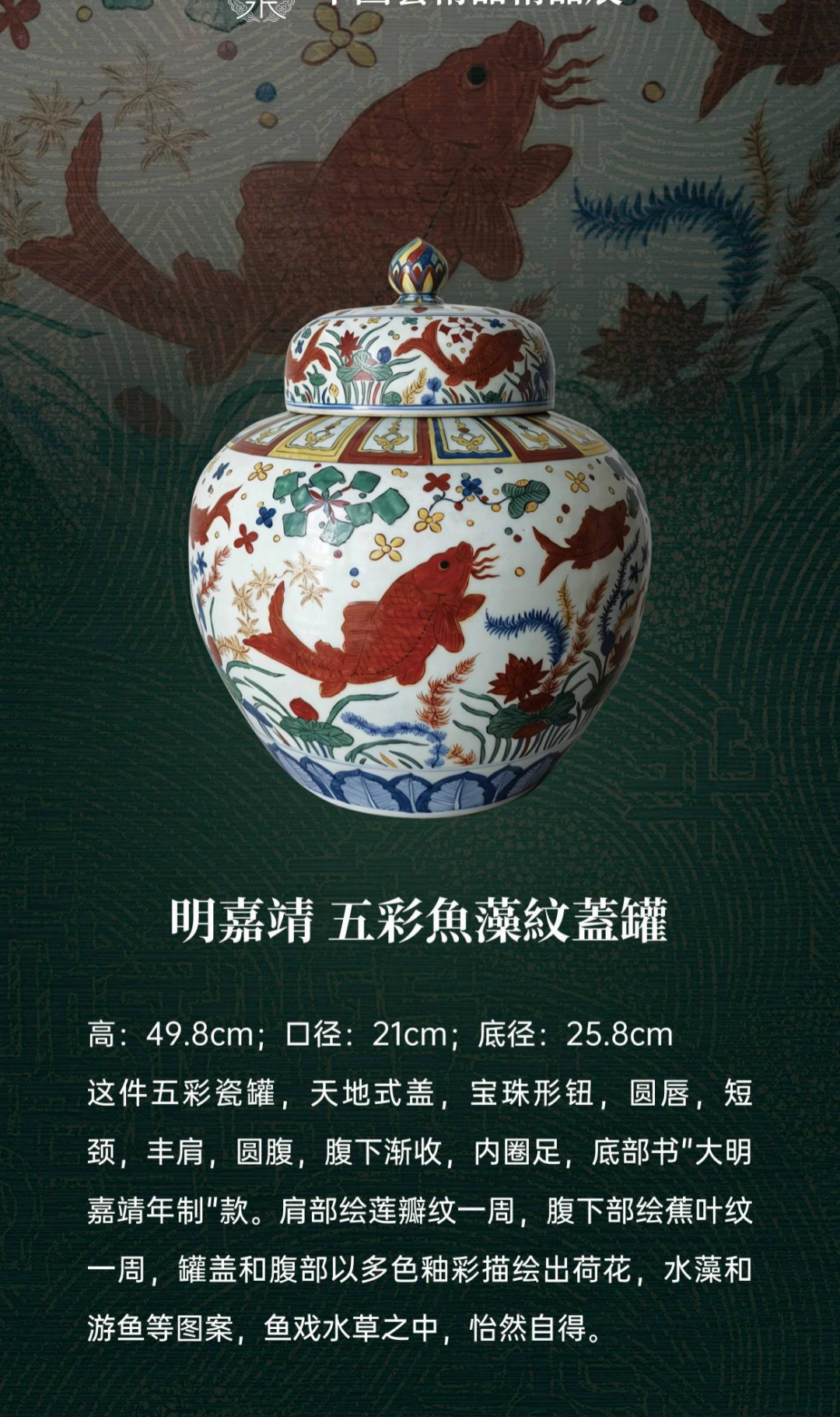 48183_b1nr_3545.png